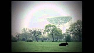 World of Apples ~ the cows at Jodrell bank