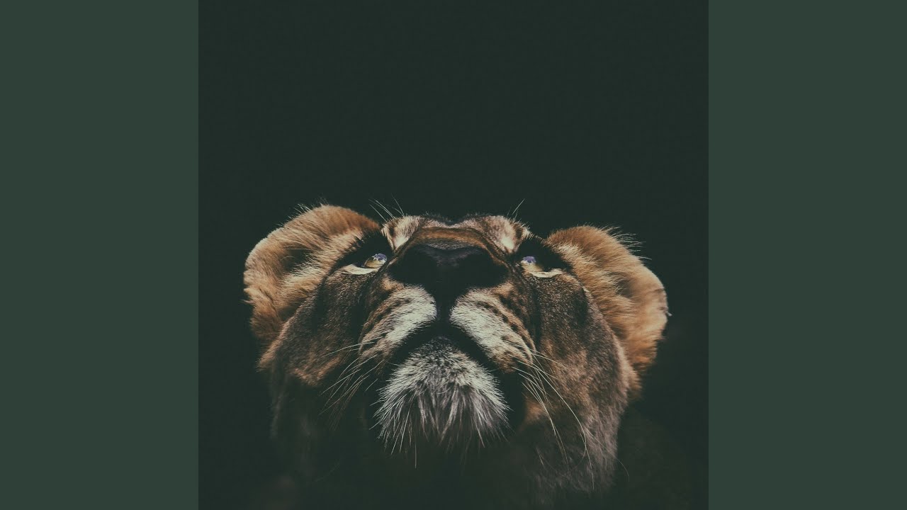 Watch Wild on YouTube Watch Wild on YouTube