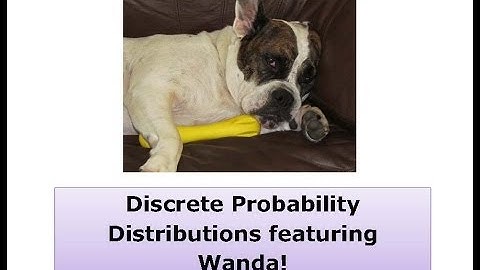 Mean of a Discrete Probability Distribution