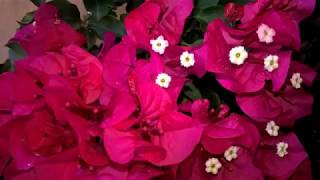 PIĘKNOŚĆ Z TARASU W SALONIE.