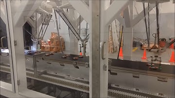 Delta Robot High Speed Seed Packing 1
