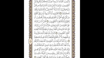 الوجه 204 من القرآن مكرر ١٠ مرات مع الآيات | سورة التوبة | الشيخ خليفة الطنيجي