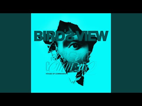 Bird's View — White Barriers