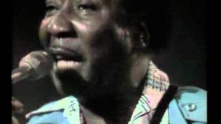 Muddy Waters - Mannish boy