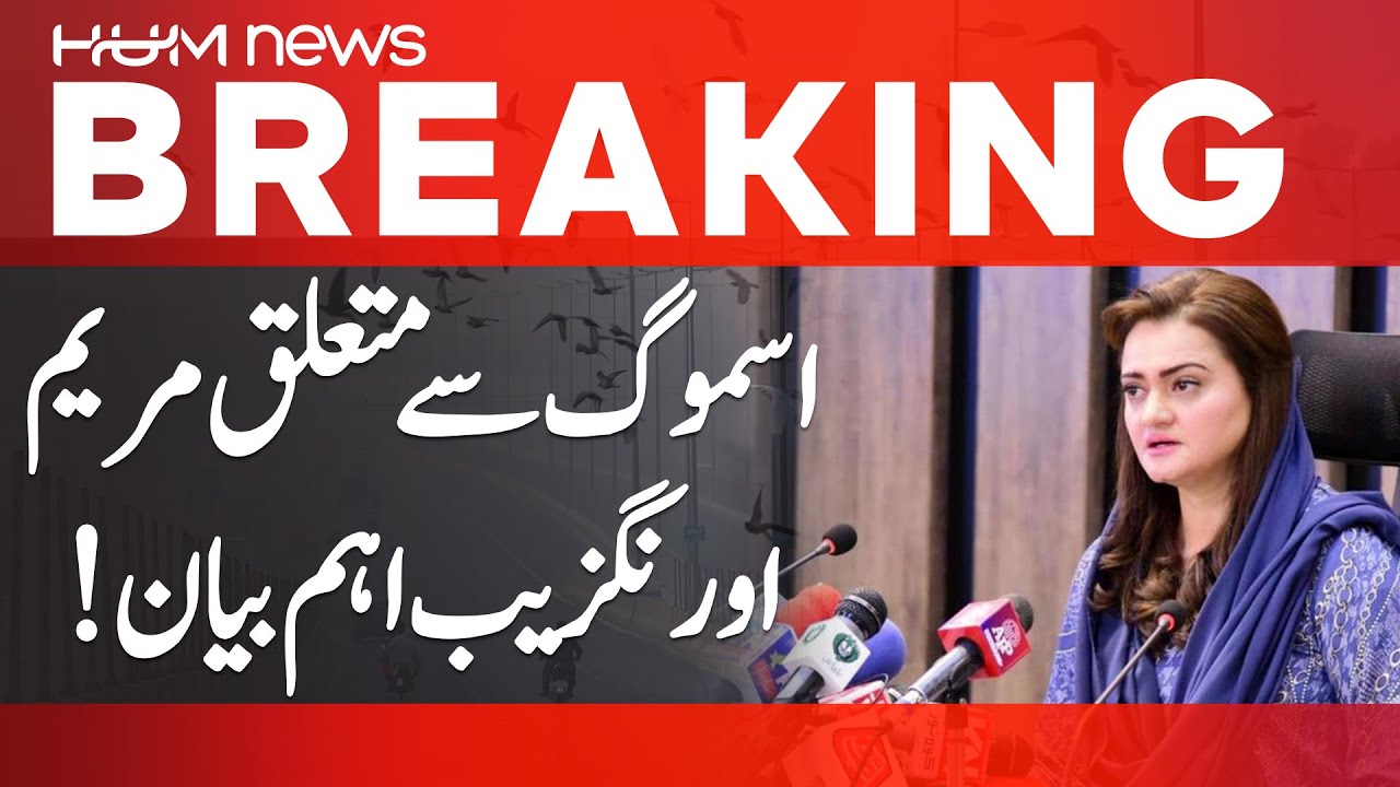 Maryam Aurangzeb's Statement on Smog Crisis | Hum News | Pakistan