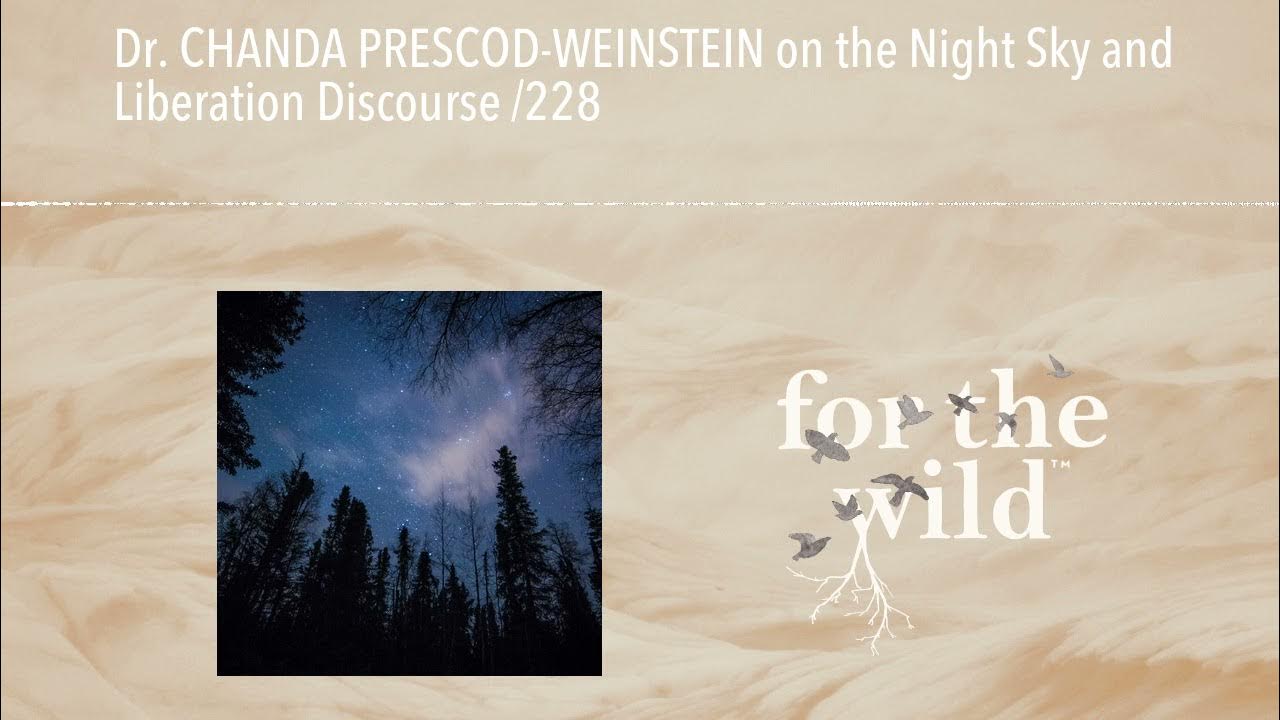 Dr. CHANDA PRESCODWEINSTEIN on the Night Sky and Liberation Discourse