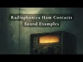 Radiophonica Ham Contacts | Amateur Radio Sample Pack | Calling Signs, Radio Tech, Signal Reports