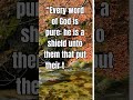 BIBLE VERSE MEDITATION VIDEOS. Trust in God