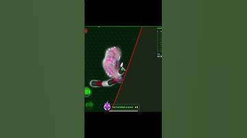 Cheat = fun ?     !#shorts #short #gameshorts #games #wormax #wormax_io #henno_games