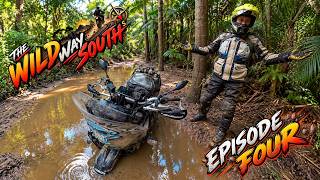 THE WILD WAY SOUTH — EPISODE FOUR | THE FINAL CHAPTER! 🏍️🔥