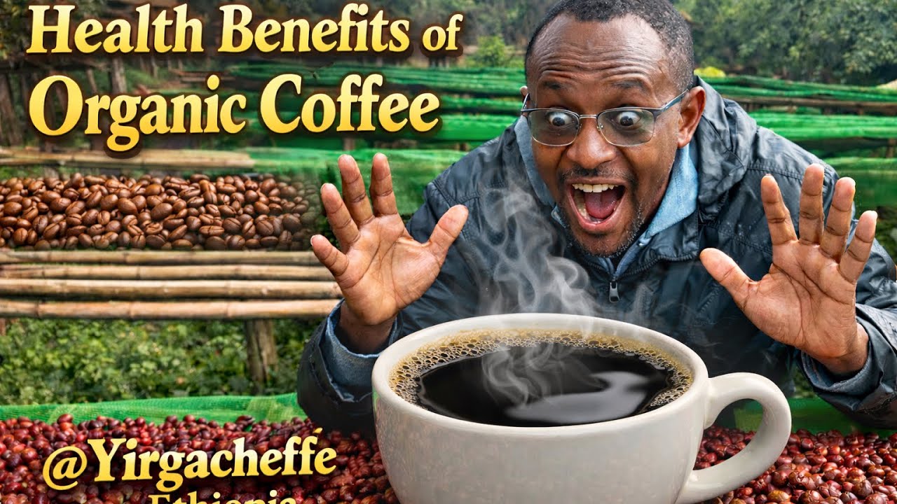 Ethiopia: Yirgacheffe Organic Arabica: The Birthplace of Coffee & The Future of Wellness.