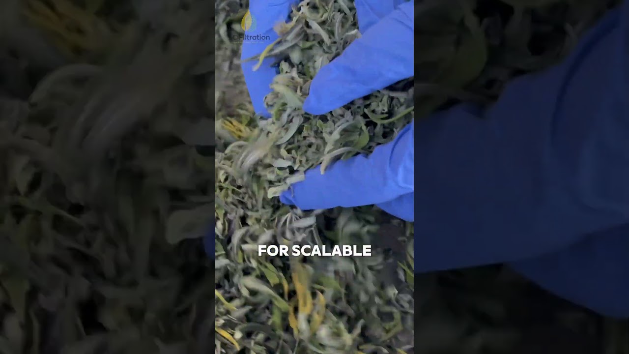 Вибрационные сита