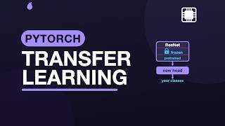 Transfer Learning: Fine-tuning a Pretrained ResNet — Practical PyTorch | 2.9