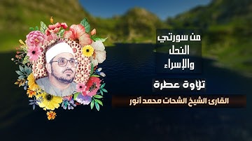 تلاوة عطرة للقارئ الشيخ الشحات محمد أنور ما تيسر من سورتي النحل والإسراء