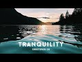 Christopher siu  tranquility emotional disney cinematic orchestral