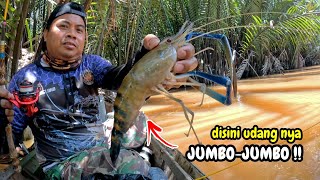 Tak disangka sungai ini di huni banyak udang galah jumbo \u0026 ikan langka !!!