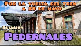 ¡SALVEMOS EL TREN A 25 DE MAYO! Estación PEDERNALES