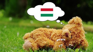 Learn Hungarian While You Sleep - 1000 Important Hungarian Words & Phrases