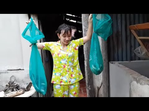 Video Bắt Rắn Hổ Hành Nuôi Trong Hồ Đem Bán # SĂN BẮT ĐỒNG... - youtube