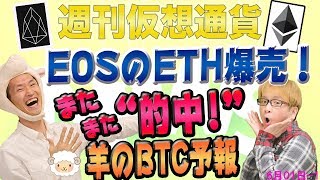 ビットコインの価格予想　またまた的中！　最安値近し!?　今週の市場予測は？　イーサリアムをイオスが爆売り　最新・仮想通貨ニュース