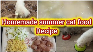 Best summer homemade cat food recipe || Healthy and balance food for cats and kittens