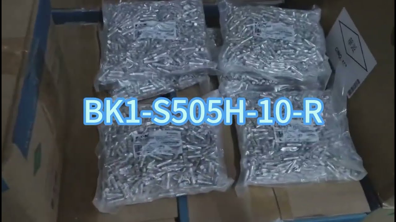 Bussmann Ceramic Fuse Revealed: 5×20mm High Breaking Capacity, Patron Saint of Time Delay🛡️