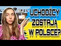 DLACZEGO UCHODŹCY CHCĄ MIESZKAĆ W POLSCE I NIE JADĄ DO INNYCH KRAJÓW? STOP Ukrainizacji Polski?