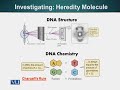 GEN731 Advanced Molecular Genetics Lecture No 22