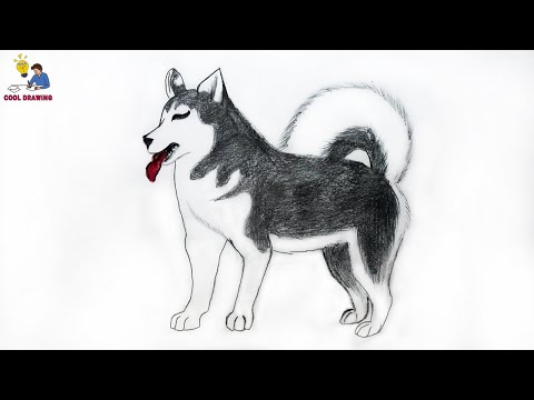 siberian husky art  Siberian Husky by MustaVuona on deviantART  Husky  faces Husky drawing Dog drawing