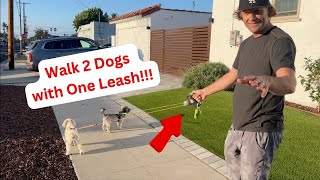 How to Walk 2 Dogs on 1 Leash | Product Review: Wigzi Dual Doggie Leash