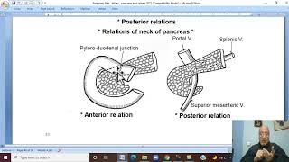 Anatomy Git Module In Arabic 33   Pancreas  Part 1     By Dr Wahdan