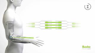 Animation Multimotion Actine Myosine
