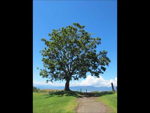 村の小径で・女声三部メゾソプラノ（MIDI）