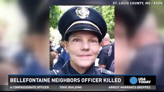Officer hit and killed by car while helping driver