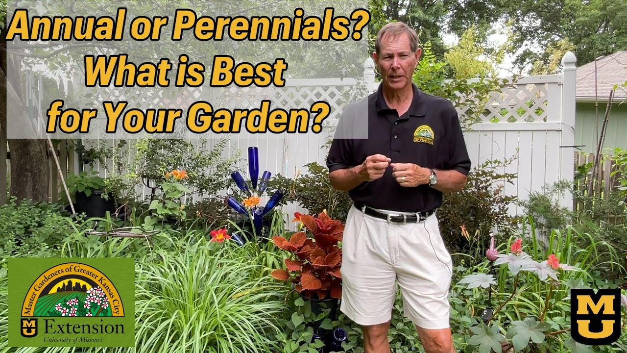 Annuals or Perennials? Which is best, and how do I choose?
