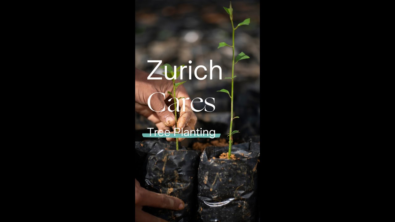 Tree Planting | Zurich Cares