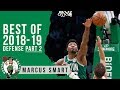 Marcus Smart Defense Highlights 2018/19 NBA Regular Season Part 2