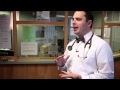 Video thumbnail Video thumbnail