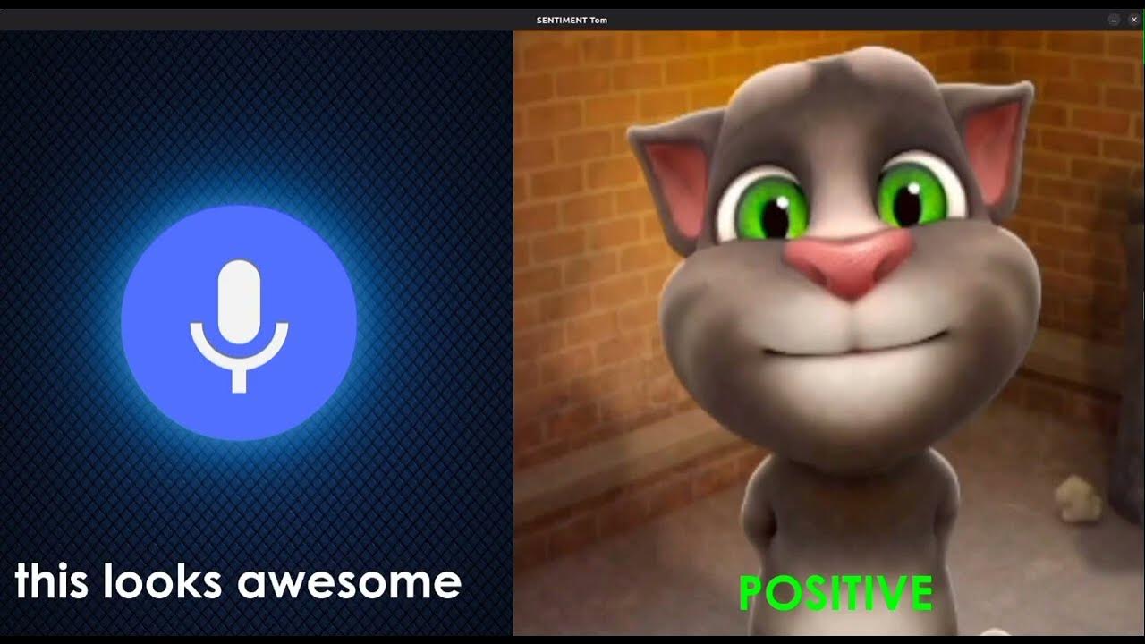 Tom the sentiment analyzer hugging face model hub youtube