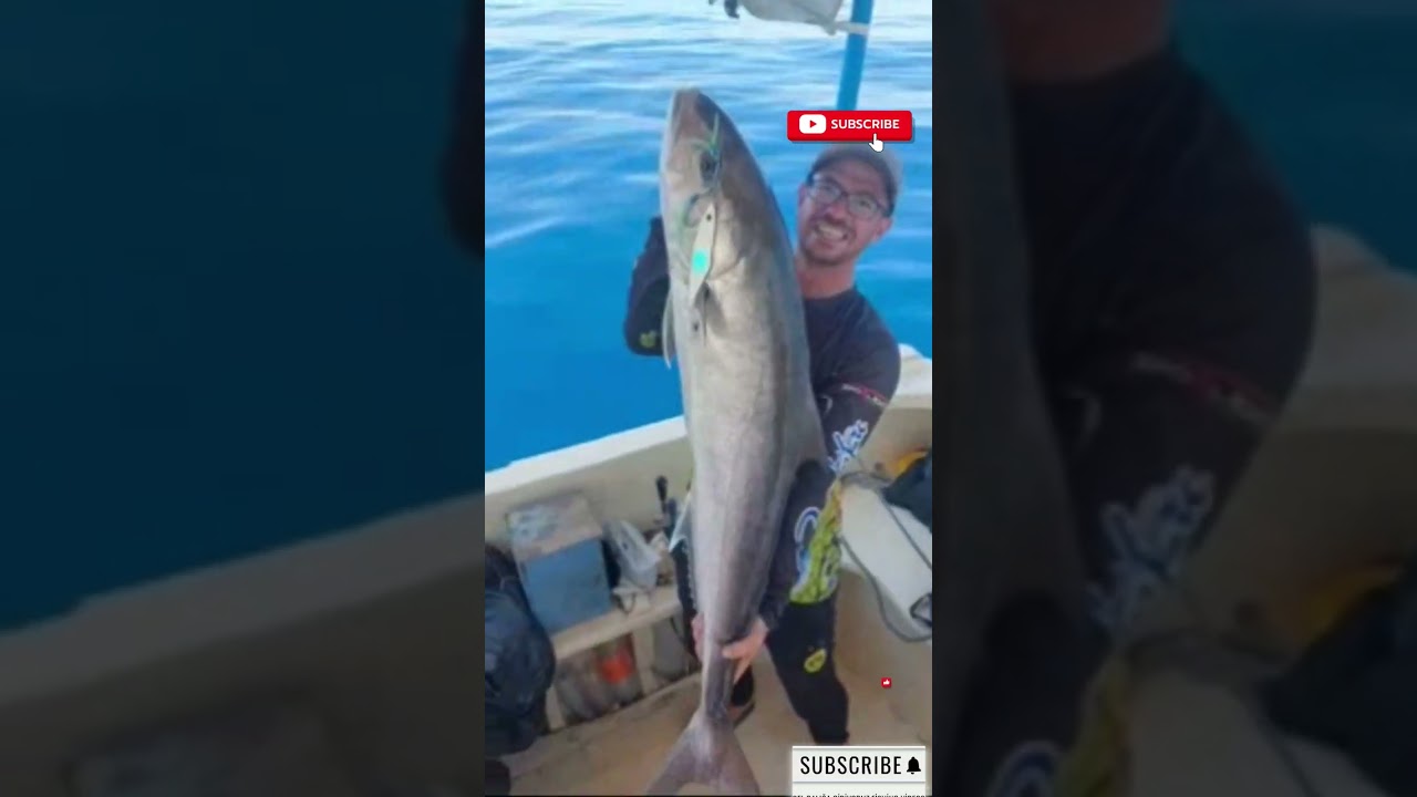 THE BIGGEST FISH EVER CAUGHT WITH A FISHING LINE IN THE OCEANS 
