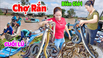 THÓT Tim CHỢ RẮN" Chà Cá Đồng vùng biên Giới Campuchia cuối mùa lũ