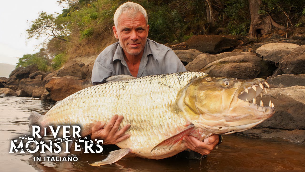 il PESCE TIGRE GIGANTE - River Monsters ITA Episodio Completo - S02E04