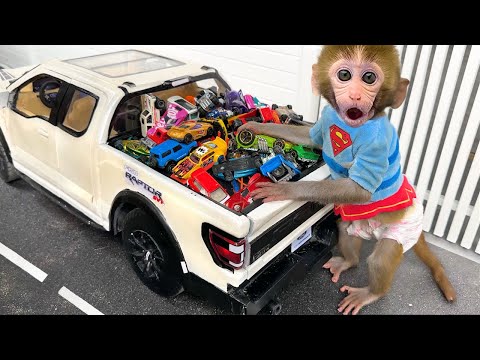 Monkey Baby Bon Bon drives a car and plays with puppy and duckling by the track