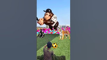 The mascot vibrato assistant placed onthe football field is popular, co-produced, creative new spe