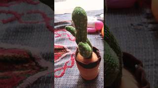 BABY SCARED SPEAKING CACTUS TOY FUNNY VIDEO #cactus