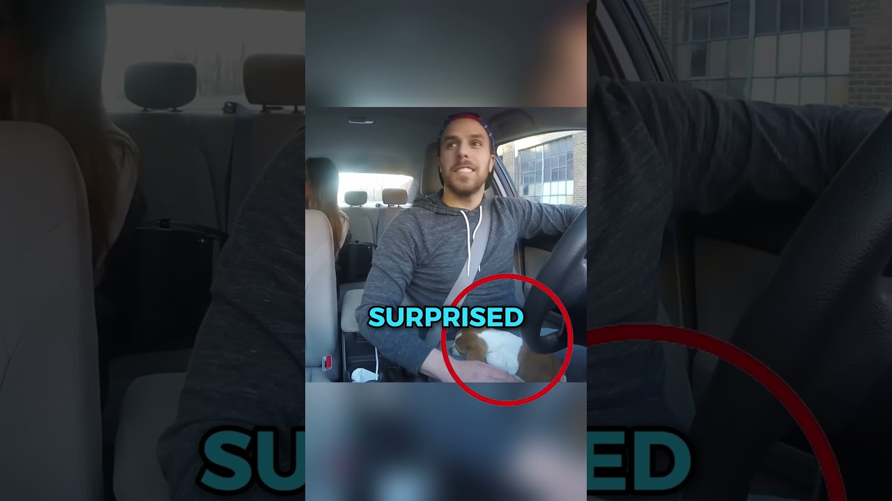 Cutest Uber Ride Ever 😊❤️