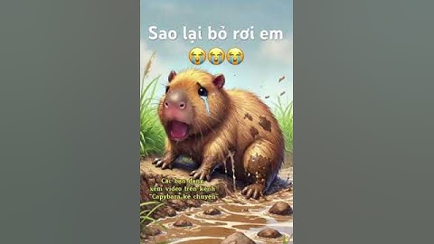Capybara khóc vì bị bỏ rơi trên đường 😭😭😭#shortsviral #capybara #short