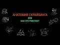 ВЕБИНАР №1: Анатомия скрайбинга. СКРАЙБИНГ-МАРАФОН от Scriberry.ru и Марины Любецкой