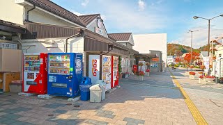 Japan - Backstreets, cat and the ocean of Miyako city・4K HDR