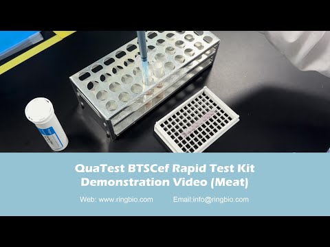Ringbio Meat Antibiotic Residue Test Kit QuaTest BTSCef Rapid Test Kit